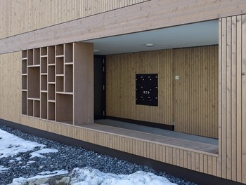 Housing Complex Zwischenwasser - detail of facade