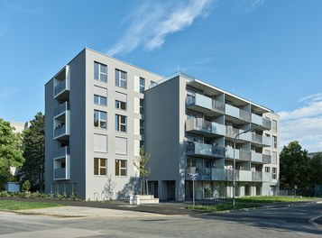 Housing Complex Herchenhahngasse - 