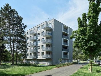 Housing Complex Herchenhahngasse - 