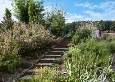 garden a - 