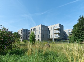 Housing Estate Münsterblickstrasse - 