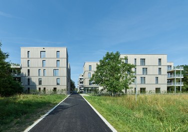 Housing Estate Münsterblickstrasse - 