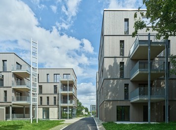 Housing Estate Münsterblickstrasse - 