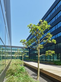 Company Branch Engel - 